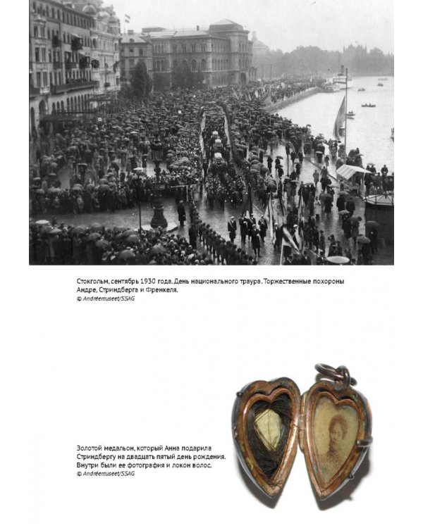 По воле ветра. Два удивительных путешествия к Северному полюсу