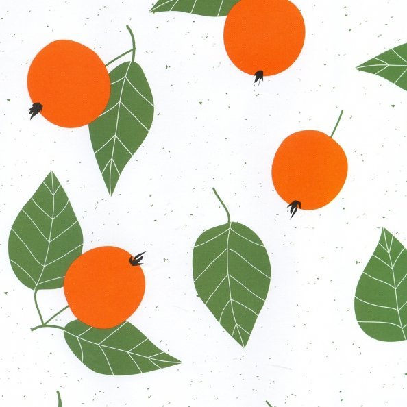 Бумага упаковочная &quot;Christmas fruits&quot;, рисунок: яблоки, 70x100 см