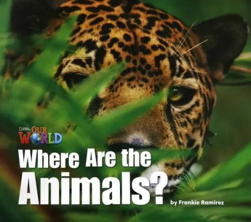 Our World Our World 1: Big Rdr - Where are the Animals? (BrE)