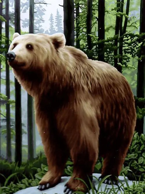 Алмазная мозаика "Бурый мишка", 30х40 см Алмазная мозаика "Бурый мишка", 30х40 см