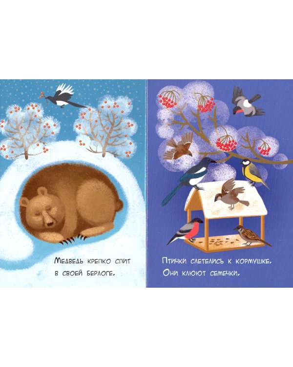 Времена года