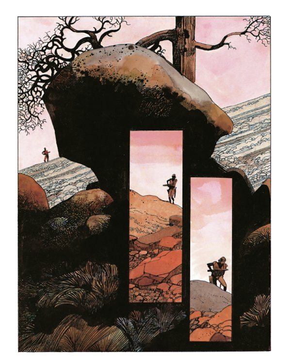 Новеллы. Книга первая