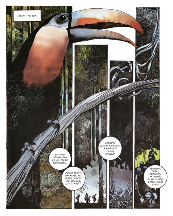 Новеллы. Книга первая