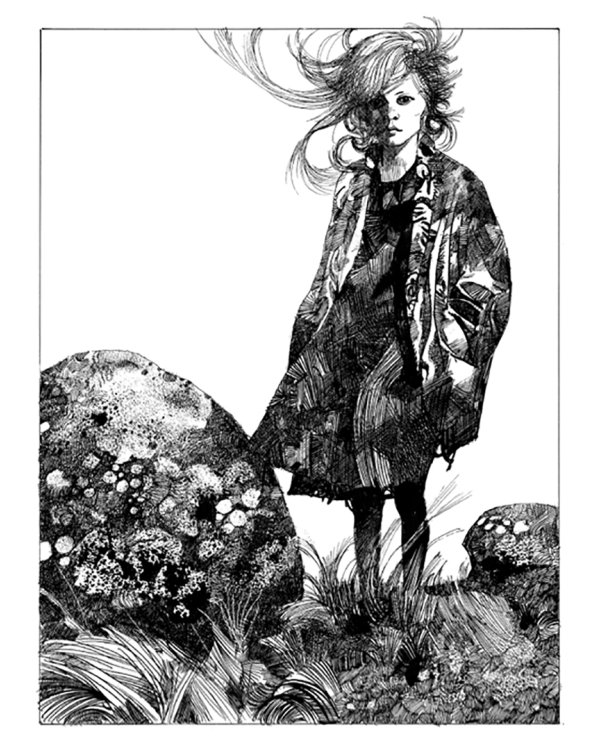 Новеллы. Книга первая