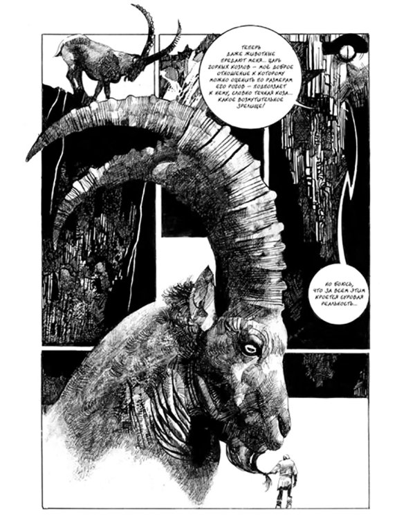 Новеллы. Книга первая