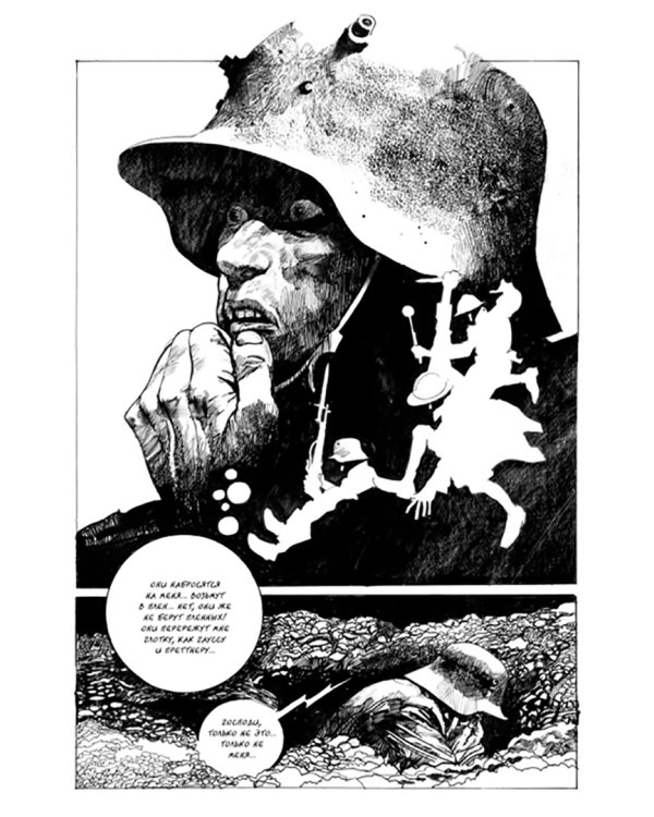 Новеллы. Книга первая