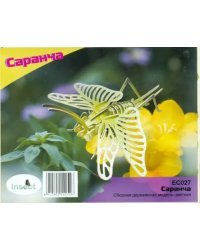 Сборная деревянная модель. Саранча