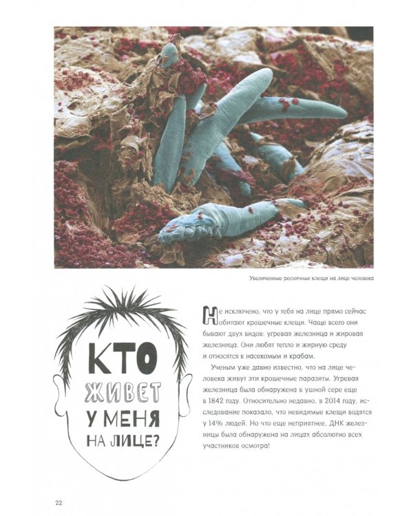 Почему звезды мерцают?