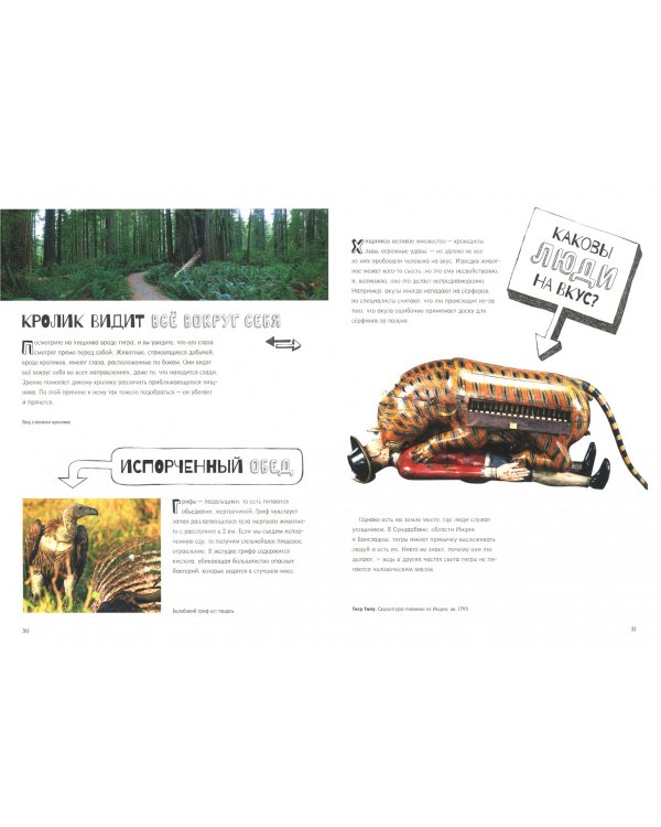 Почему рыбы не тонут?