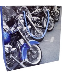 Пакет подарочный ламинированный, 250х250х100 мм