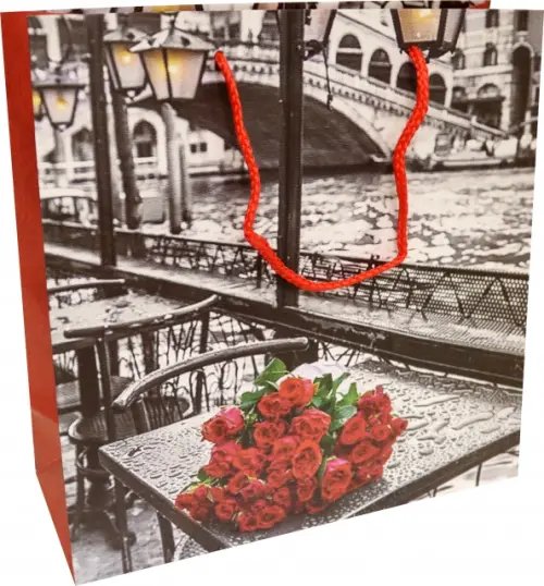 Пакет подарочный ламинированный, 250х250х100 мм Пакет подарочный ламинированный, 250х250х100 мм