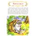 Дополнительное изображение книги «Мудрые сказки»