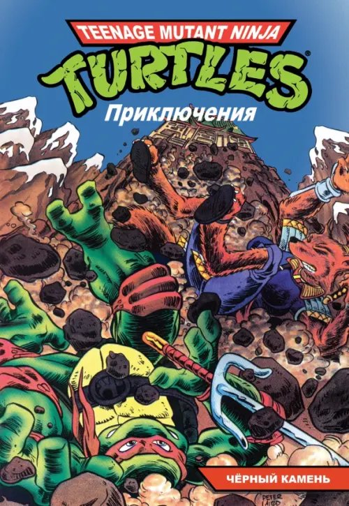 Teenage Mutant Ninja Turtles Adventures Приключения Черепашек-Ниндзя. Том 9. Чёрный камень