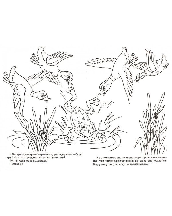 Лягушка-путешественница