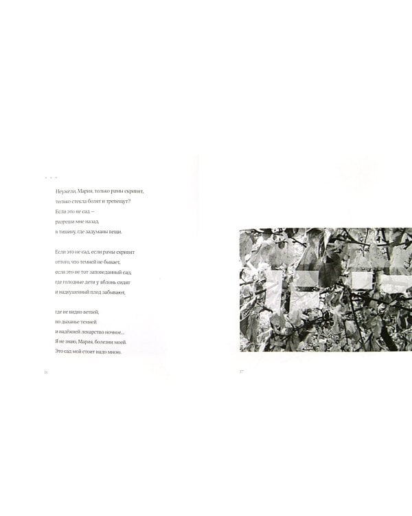 Сад мирозданья