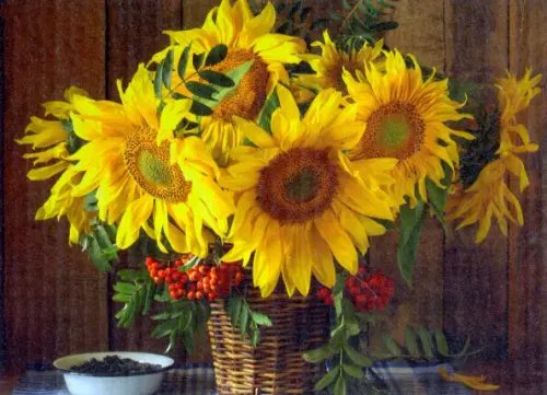 Раскрашивание по номерам. Подсолнухи Раскрашивание по номерам. Подсолнухи