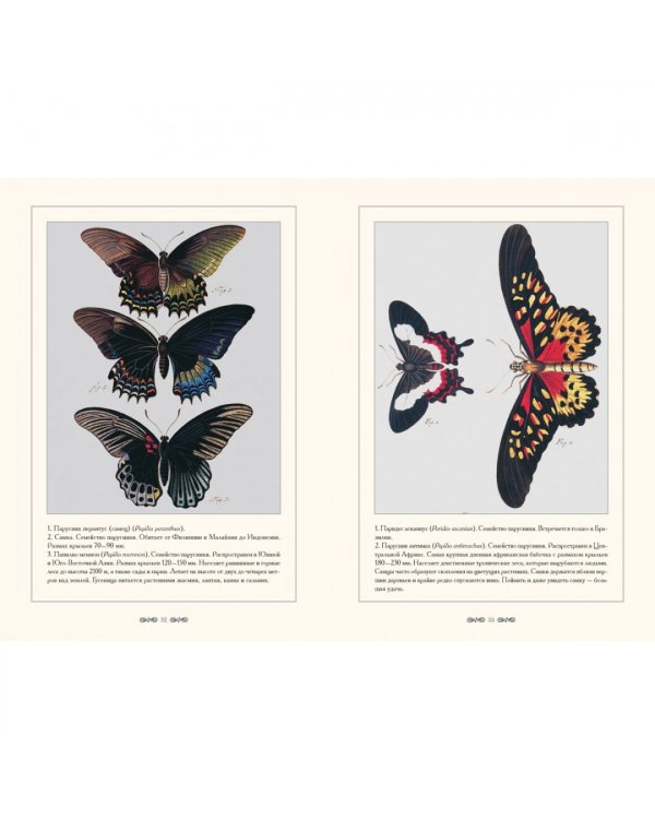 Экзотические бабочки