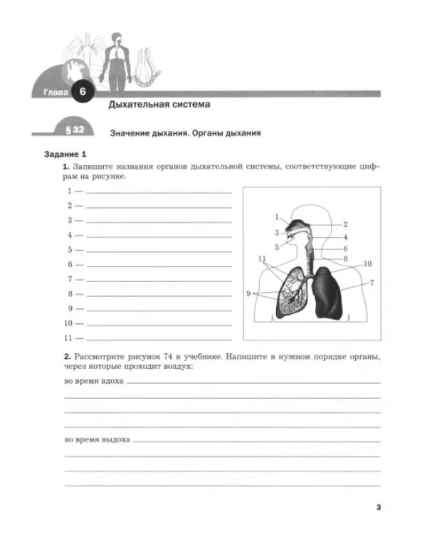 Биология. 8 класс. Рабочая тетрадь. Концентрический курс. В 2-х частях. Часть 2