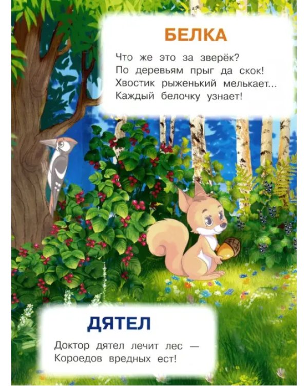 Лесные животные