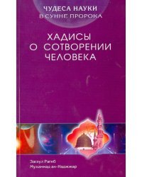 Чудеса науки в Сунне Пророка. Хадисы о сотворении человека