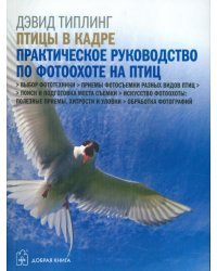 Птицы в кадре. Практическое руководство по фотоохоте на птиц