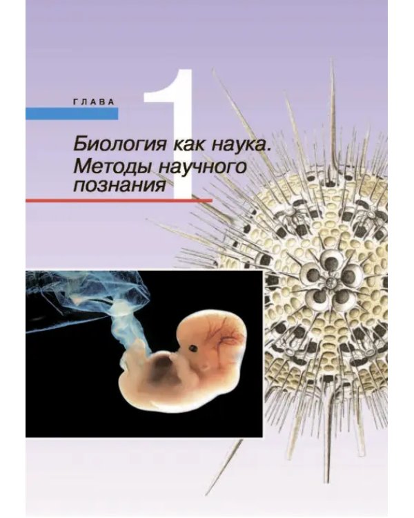 Биология. Общая биология. 10 класс. Учебник. Базовый и углубленный уровни. ФГОС