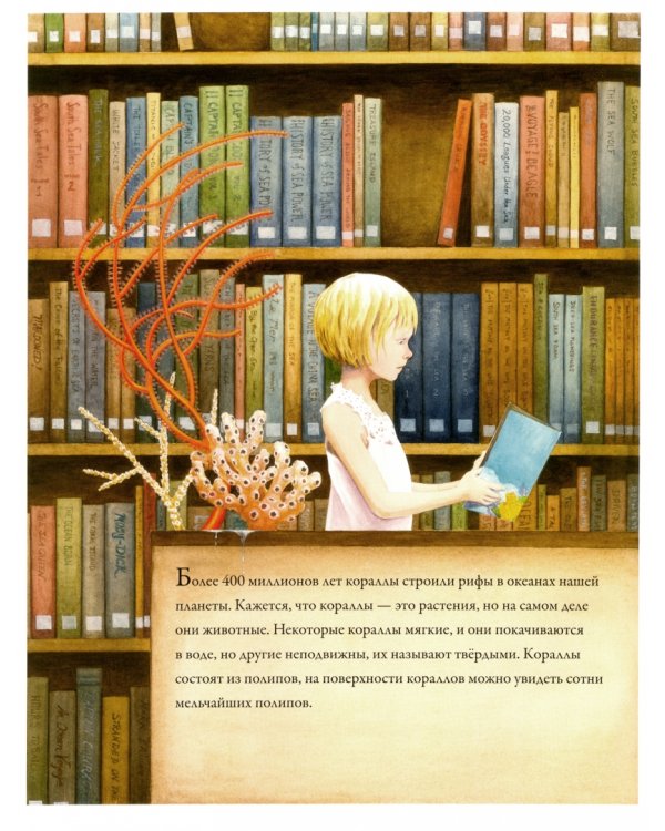 Коралловые рифы