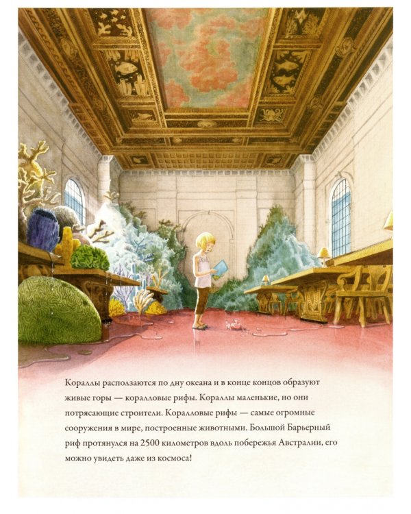 Коралловые рифы