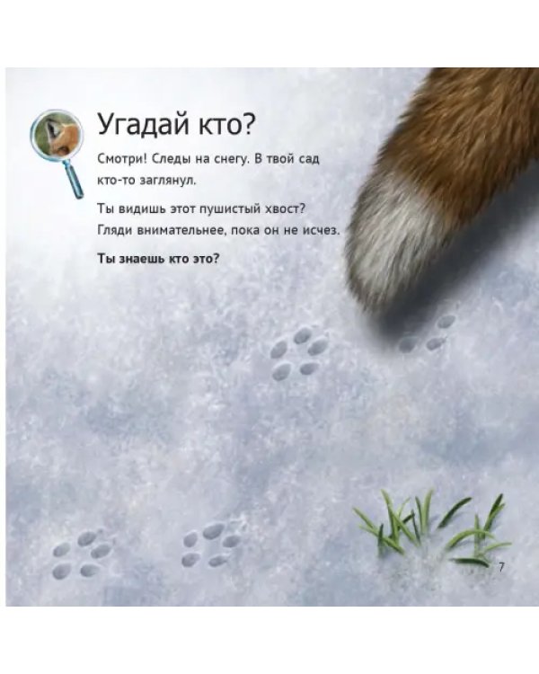 Кто живет у нас на даче. От мала до велика