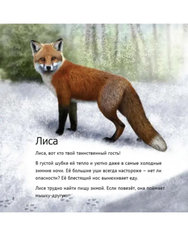 Кто живет у нас на даче. От мала до велика
