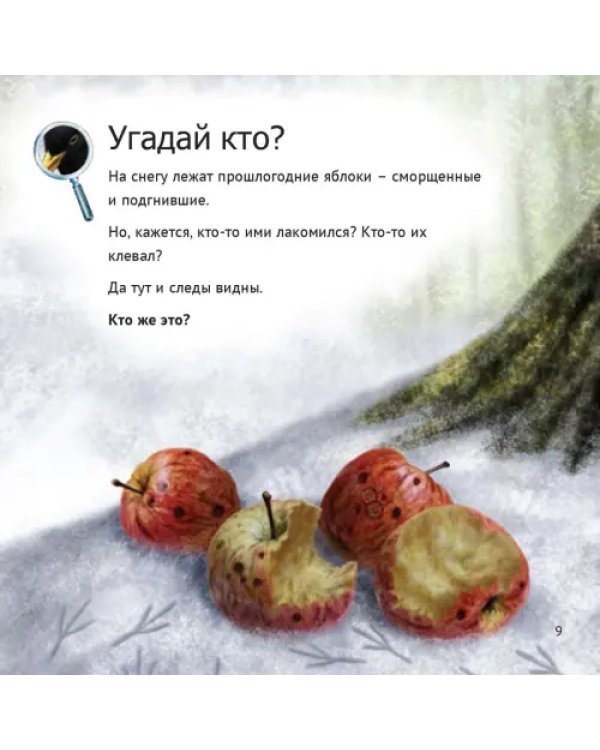 Кто живет у нас на даче. От мала до велика