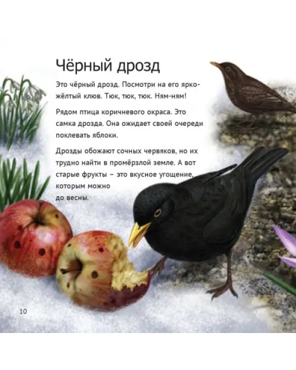 Кто живет у нас на даче. От мала до велика