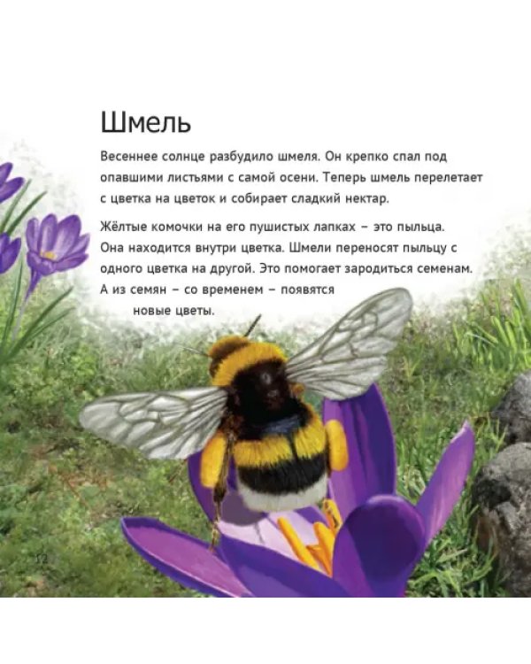 Кто живет у нас на даче. От мала до велика