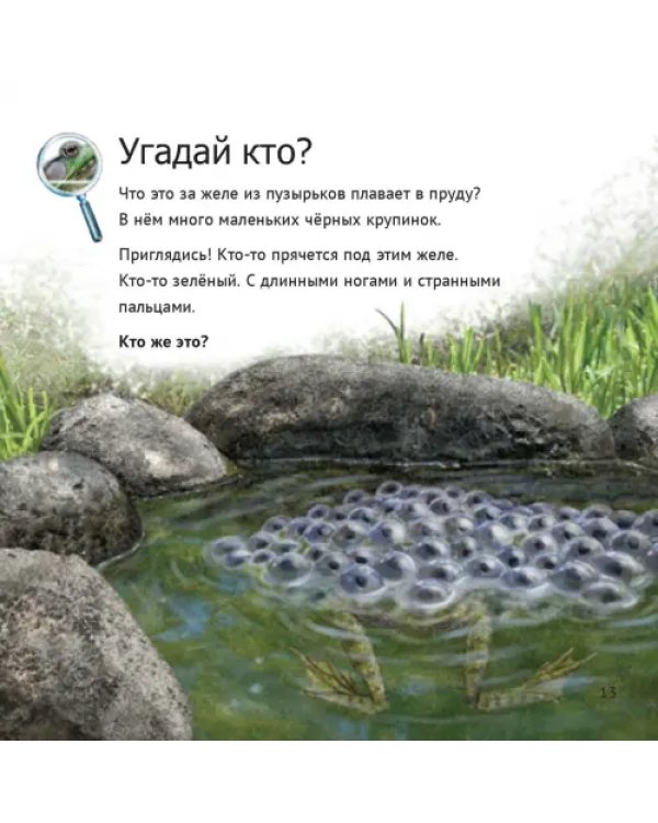 Кто живет у нас на даче. От мала до велика
