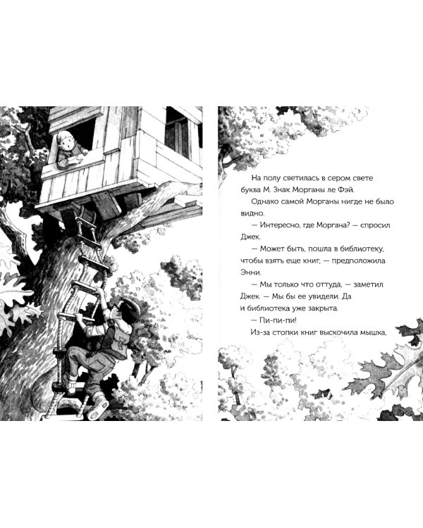 Волшебный дом на дереве 5. Ниндзя в ночи