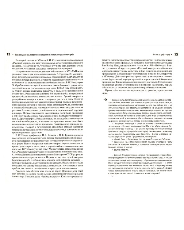Чага. Звездный час. Современные сведения об уникальном российском грибе