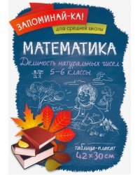 Математика. 5-6 классы. Делимость натуральных чисел