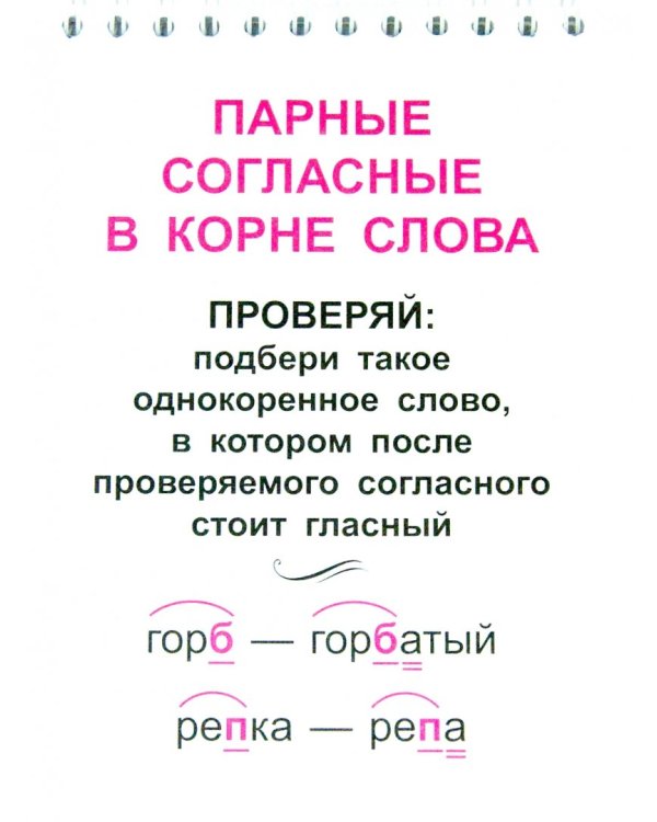 Русский язык. 1-4 классы. Важные орфограммы