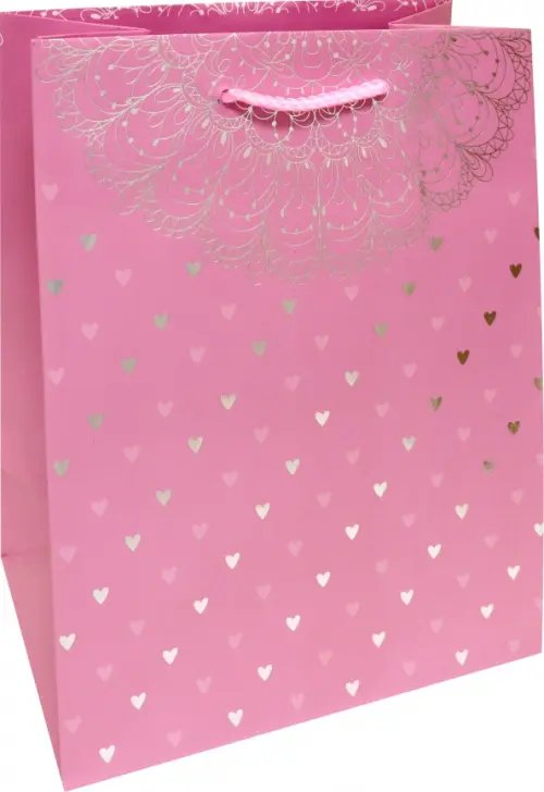 Пакет подарочный ламинированный M Premium