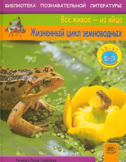 Все живое - из яйца Жизненный цикл земноводных