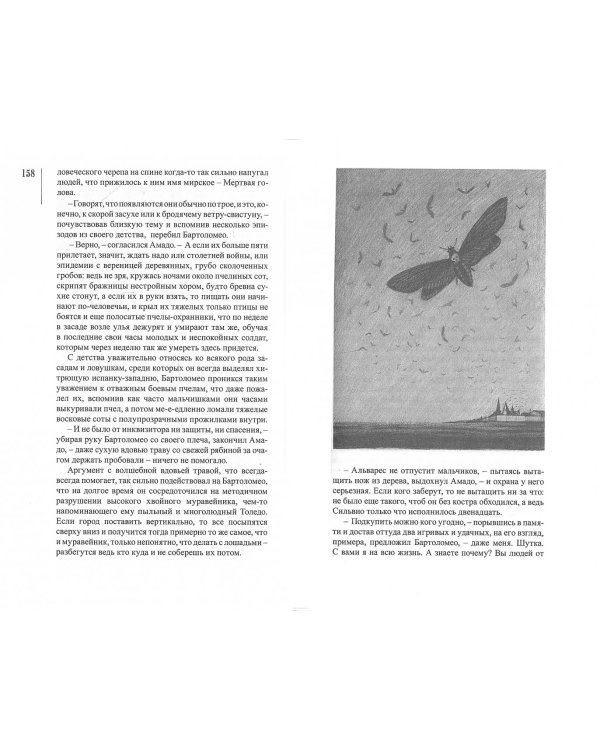 Амадо. Книга 1. Рукопись Молчаливого