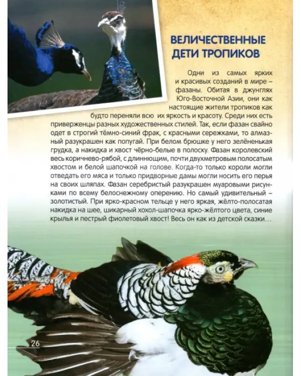 О птичках, рыбках и зверюшках