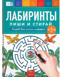 Лабиринты. Пиши и стирай. Тетрадь для письма маркером для детей 4-5-6 лет