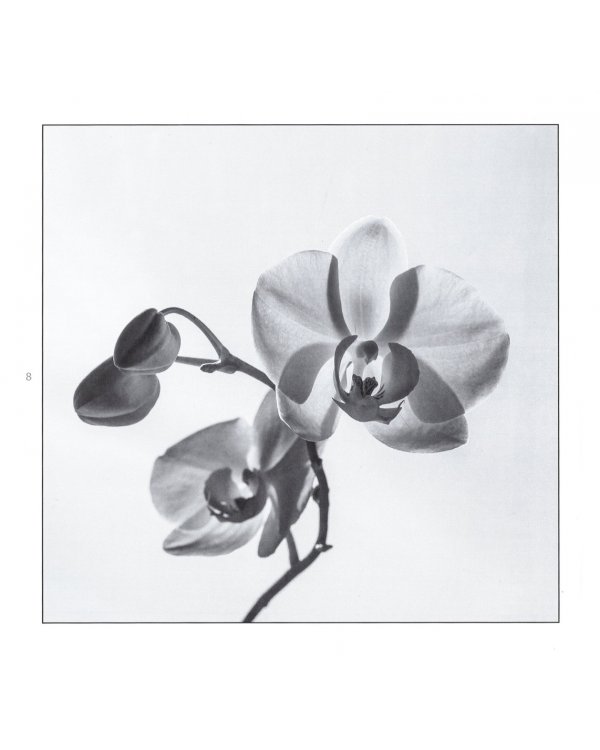 101 оттенок серого