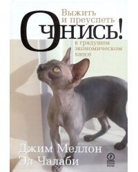 Очнись! Выжить и преуспеть в грядущем экономическом хаосе