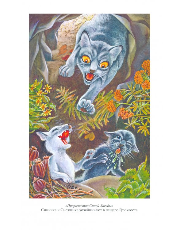 Пророчество Синей Звезды