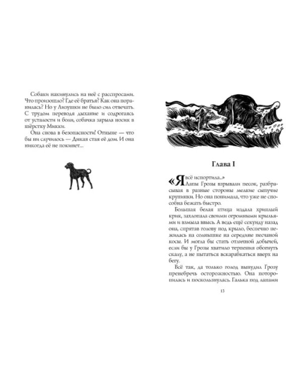 Дополнительное изображение книги «Путь изгнанницы»