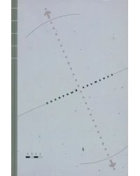 Полярный альманах 2011