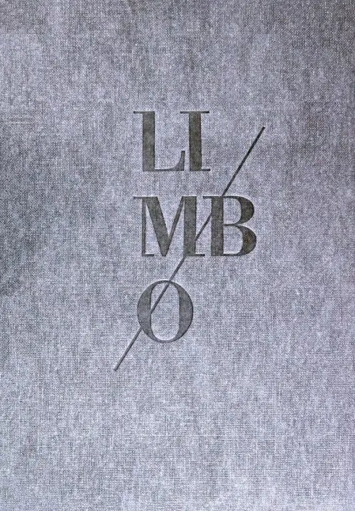 Фотоальбомы Limbo. Paulina Otylie Surys