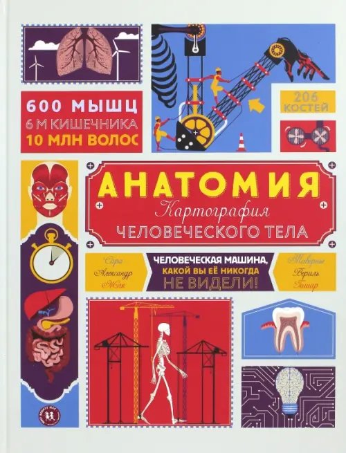 Мир вокруг нас Анатомия. Картография человеческого тела